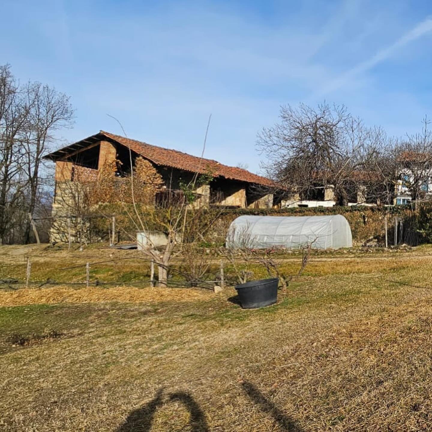 Vasetti Zafferano Trucca