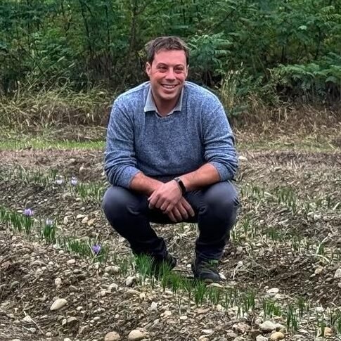 Campo di Zafferano a Cavaglià